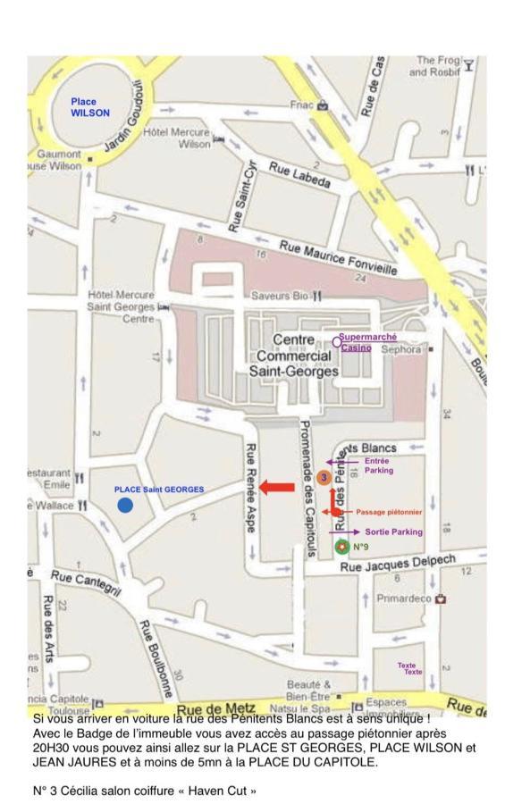 Hyper-Centre Historique Avec Possibilite De Reservation Parking Toulouse Dış mekan fotoğraf