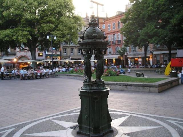 Hyper-Centre Historique Avec Possibilite De Reservation Parking Toulouse Dış mekan fotoğraf